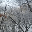 용천공원 화장실 이미지