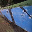 경화시장 이미지