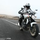 SUZUKI Gladius 스즈끼 글라디우스 _ 찌노닷컴 이미지