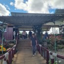 고원농장 이미지