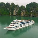 세중인터내셔날 이미지