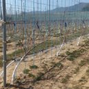 경상남도 사과이용연구소 이미지