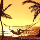 높은음자리 이미지