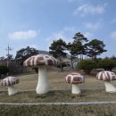 남도톱밥