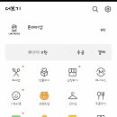 다예라인 이미지