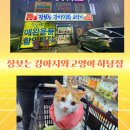 장성생활용품점 | 하남 가볼만한곳 하남 놀거리 애견용품 애견동반 장보는강아지와고양이