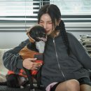 빼로(perro) 이미지