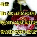 진주산오름 5월 정기산행- 영동(천태산) 이미지