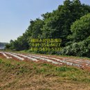 삼국지공인중개사사무소 이미지