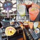 김밥인까페 | 연중무휴 담양대형카페 <콜로세움베이커리카페> 내돈내산 후기