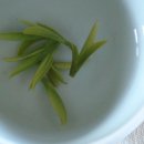 설아다원 이미지