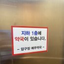 예주약국 이미지