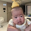 (주) 제일트림