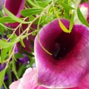 재화꽃집 이미지