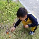 명궁출판사 | 한국전래동화추천 :: 더 고소한 깨동이 개봉기& 이상한 나뭇잎 w. 별똥별출판사