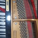 하이 음악학원 이미지