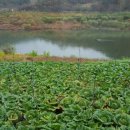 별천지가든 이미지