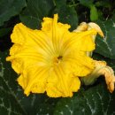 문상농장 이미지