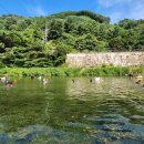 녹수 | 2025년 가평 녹수계곡 솔직후기ㅣ물놀이 위치, 주차, 수질