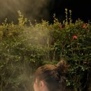 소랑스파앤풀빌라 이미지