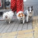 옹기종기 이미지