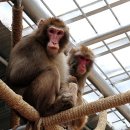 환경사업소 이미지