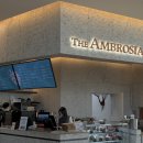 더엠브로시아 이미지