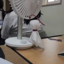 백화요란 | 백화요란 대전외고