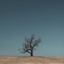 밤나무곡 이미지