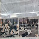 무포스 PT FT 이미지