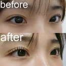 상봉2동 (1) | 5번 넘게 방문한 내돈내산 프롬여닝 블랙영양펌 후기 l 상봉 속눈썹펌 추천