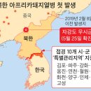 북한 아프리카돼지열병 확인/치사율 100% 20190601 중앙外 이미지