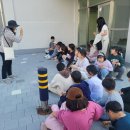 동백초 11.04 이미지