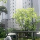 녹번역 e편한세상캐슬 작은도서관 | 녹번역 비슷한 아파트 네곳, 래미안베라힐즈 힐스테이트녹번 힐스테이트녹번역 녹번역e편한세상캐슬