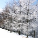 발산목장 이미지