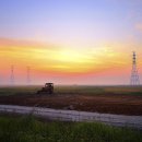 대부바다향기 테마파크 이미지