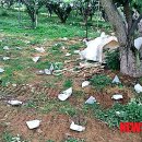 충북원예농협가공공장 이미지