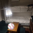 국대스카이 | 국대 평가전 양일 직관 후기⚾️