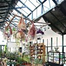 견우와 직녀농장 이미지