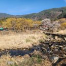 상위마을 입구 이미지