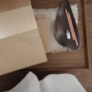 스테이 시래 이미지