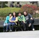 실로암목장 이미지