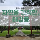 태강릉 입구 | 노원아이와가볼만한곳, 자연을 간직한 &#39;태강릉&#39; 추천!