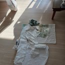 서비스케어 | 분당 산후도우미 '위드맘케어' 서비스 받은 후기