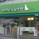 자연은 동물병원 이미지