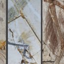 원시로2 이미지