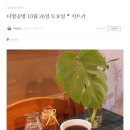 Cafe Monstera(카페 몬스테라)