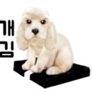 은밀하개위대하개 이미지