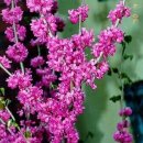 밥풀떼기 이미지