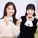 여우들의수다
